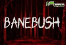 Banebush Dodi Repacks